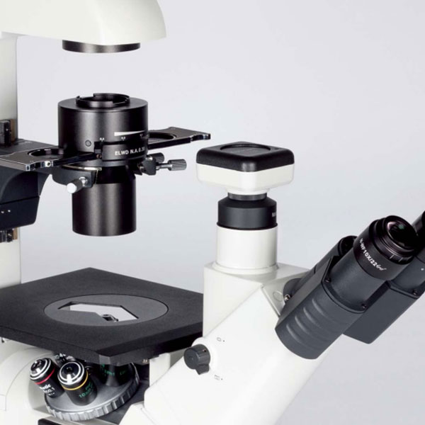 Microscopio Invertido Trinocular Motic AE31E