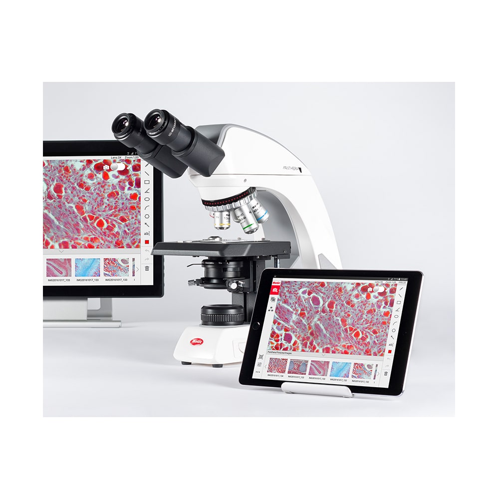 Microscopio Universal Trinocular LED Motic Panthera L